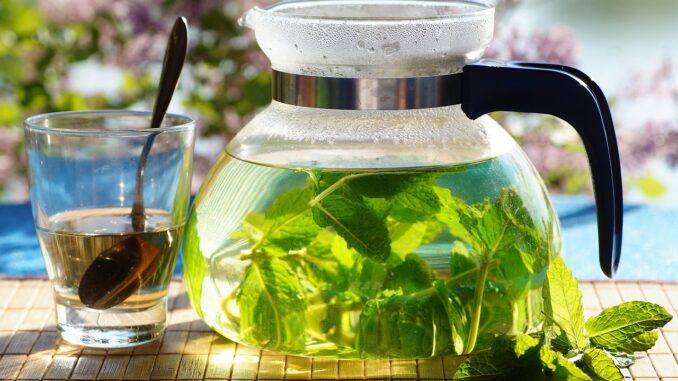 High 5 Advantages for an Particular person to Take Benefit of When Embracing Inexperienced Tea Diets